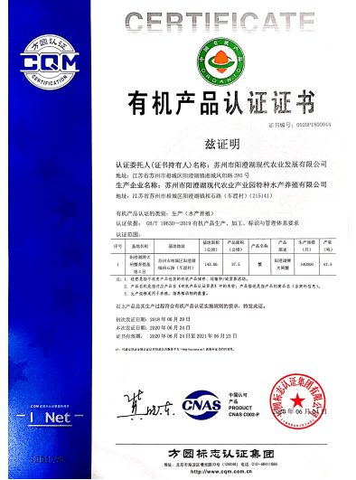 新奧門特免費資料大全管家婆料|進入釋義解釋落實,新澳門特免費資料大全與管家婆料，釋義解釋與落實分析