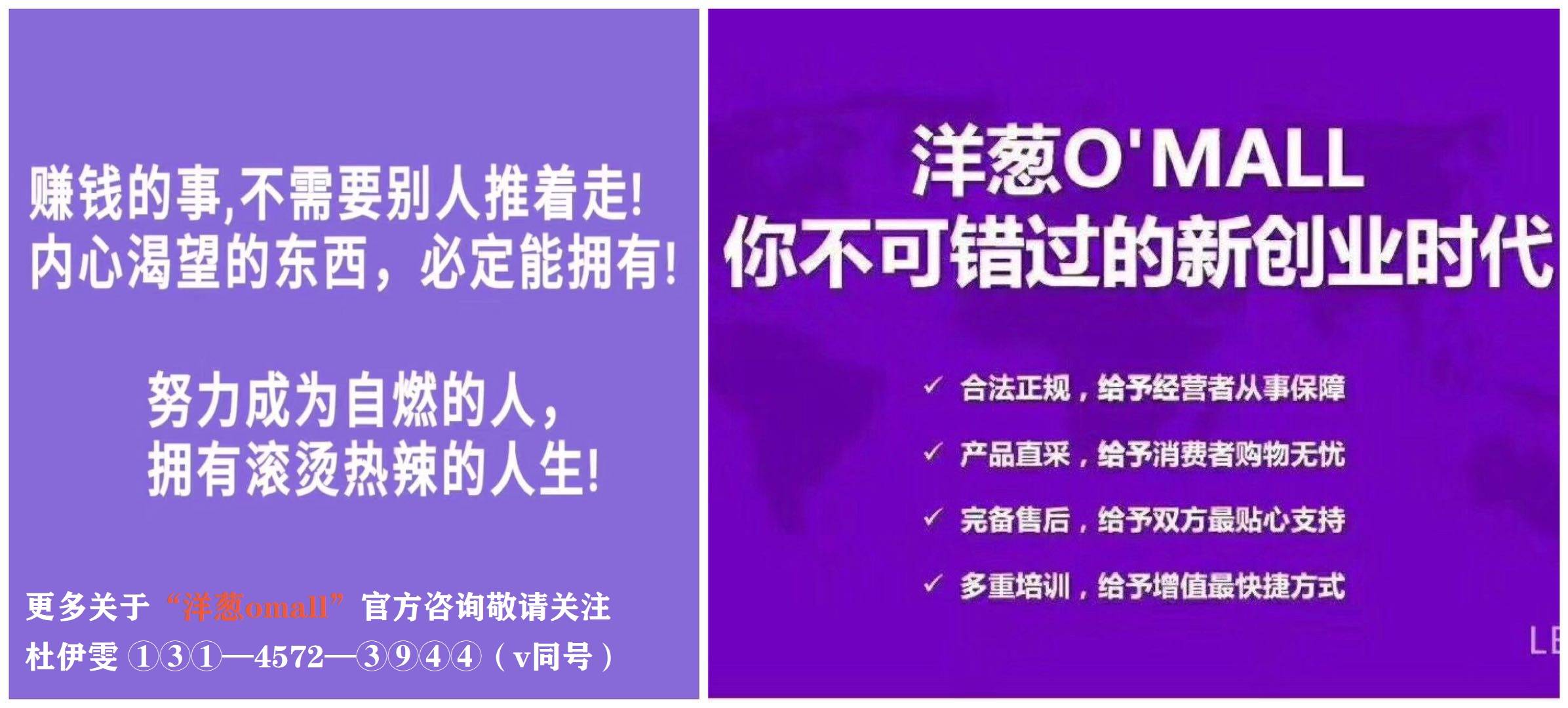 澳門免費(fèi)資料+內(nèi)部資料|速效釋義解釋落實(shí),澳門免費(fèi)資料與內(nèi)部資料的深度解析，速效釋義與落實(shí)行動