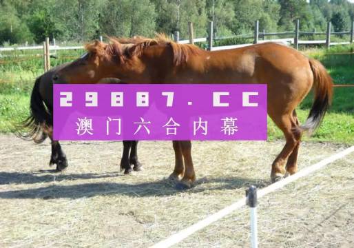 4949澳門特馬今晚開獎53期|機(jī)動釋義解釋落實,澳門特馬第53期開獎揭曉，機(jī)動釋義與落實的重要性