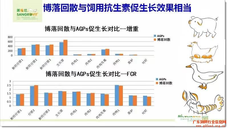 2024澳門今晚開獎(jiǎng)記錄,創(chuàng)新發(fā)展策略_并發(fā)版13.394