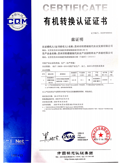 新奧門特免費(fèi)資料大全管家婆|國際釋義解釋落實(shí),新澳門特免費(fèi)資料大全管家婆與國際釋義解釋落實(shí)