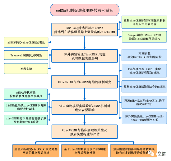 2024新澳今晚資料免費,機制評估方案_煉骨境77.397