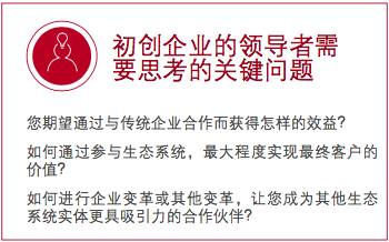 新奧門特免費資料大全管家婆料,定性解析明確評估_啟動版38.179 - 副本