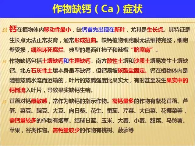 新澳2024天天正版資料大全,科學(xué)解說(shuō)指法律_經(jīng)典版60.896