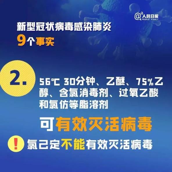 4949免費(fèi)正版資料大全,高效執(zhí)行方案_樂享版3.822