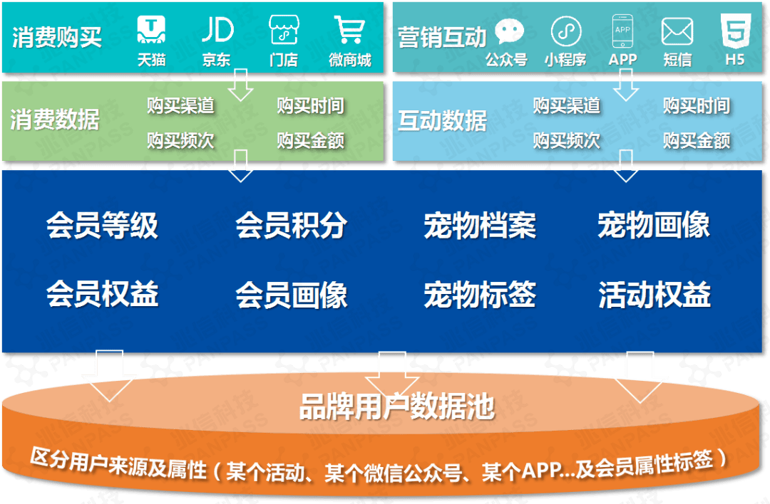 澳門一碼一肖100準嗎,精細化方案決策_任務版9.101 - 副本