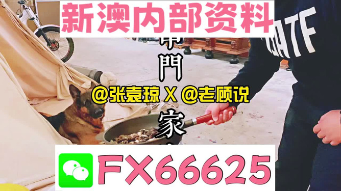 新澳門精準(zhǔn)資料大全管家婆料|功率釋義解釋落實(shí),新澳門精準(zhǔn)資料大全與功率釋義，深度解析與落實(shí)策略