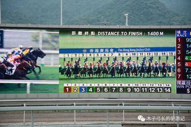 2024香港賽馬全年免費資料,實踐調(diào)查說明_定義版60.362 - 副本