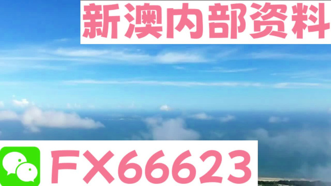 新澳2024年最新版資料,精細(xì)化實(shí)施分析_旗艦款78.968 - 副本