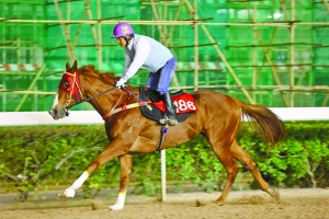 澳門今晚開特馬四不像圖|專斷釋義解釋落實(shí),澳門今晚開特馬四不像圖與專斷釋義解釋落實(shí)