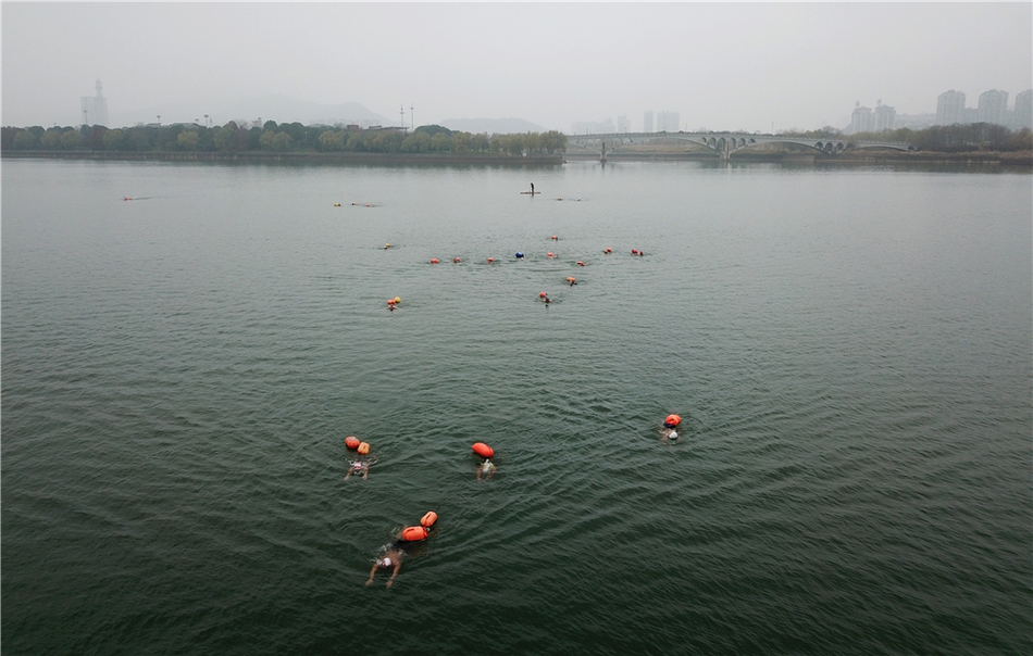 管家婆一票一碼100正確濟南,動態(tài)解讀分析_同步版62.317 - 副本