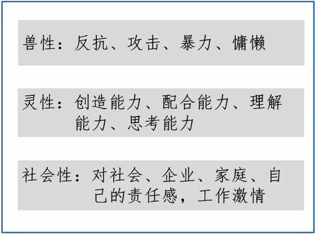 今晚澳門特馬開什么今晚四不像|兼顧釋義解釋落實(shí),今晚澳門特馬開什么，四不像的解讀與釋義的落實(shí)