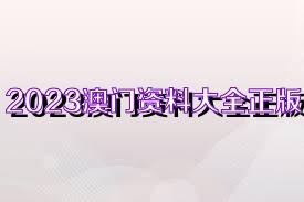 2025新奧精準(zhǔn)正版資料,2025新奧精準(zhǔn)正版資料大全|執(zhí)行釋義解釋落實(shí),探索與解讀，關(guān)于新奧精準(zhǔn)正版資料的深入解析與實(shí)施策略