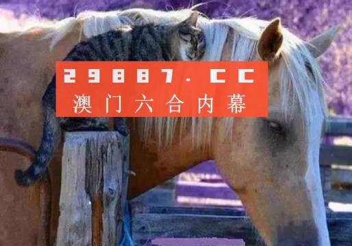 4949澳門特馬今晚開獎,最新答案詮釋說明_精選版84.766