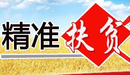 新奧彩資料免費(fèi)全公開|決定釋義解釋落實(shí),新奧彩資料免費(fèi)全公開，決定釋義解釋落實(shí)的重要性