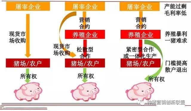 2024新澳正版免費(fèi)資料的特點(diǎn),實(shí)際調(diào)研解析_創(chuàng)意版47.470