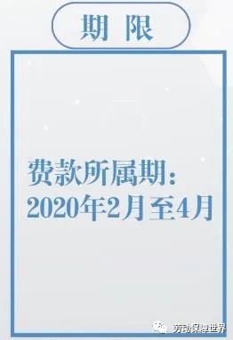 新奧精準(zhǔn)資料免費(fèi)提供510期|明凈釋義解釋落實(shí),新奧精準(zhǔn)資料免費(fèi)提供第510期，明凈釋義與落實(shí)的深度解析